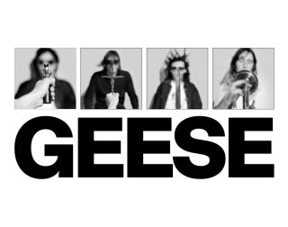 GEESE